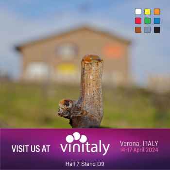 Vinitaly 2024